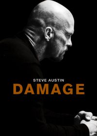 Damage (2009) 420p 300MB Dual Audio 1