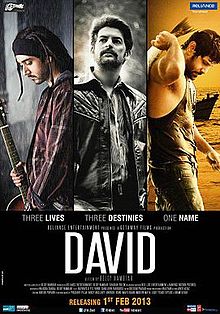 David (2013) DVDRip Music Videos HD 720P