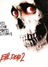 Evil Dead II (1987) BRRip 480p 300MB Dual Audio 1