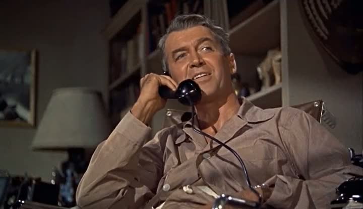 Rear Window (1954) 