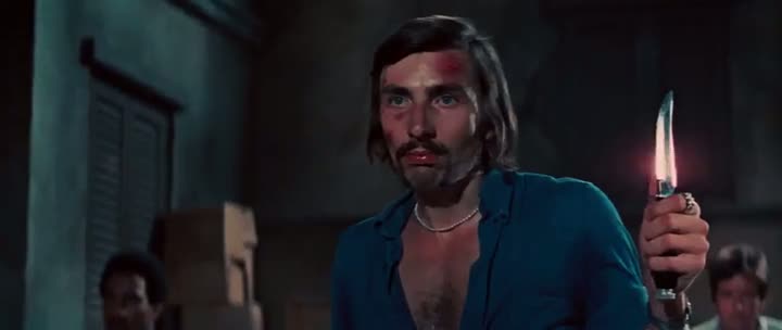 The Way of the Dragon (1972) 