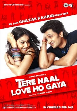 Tere Naal Love Ho Gaya (2012) DVDRip