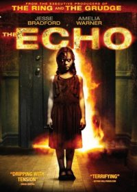 The Echo (2008) Hindi Dubbed Mediafire Download Links 1