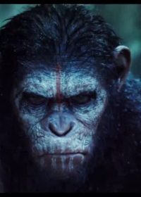 Dawn Of The Planet Of The Apes (2014)  Trailer 4