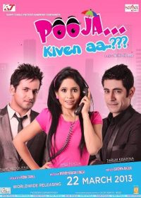 Pooja Kiven Aa (2013) Punjabi Movie DVDRip 4