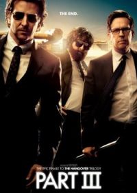 The Hangover Part III (2013) Dual Audio BRRip HD 5