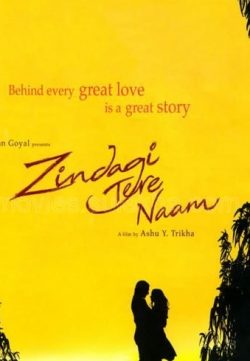 Zindagi Tere Naam (2012) 300MB Movie  Downloade