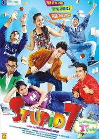 Stupid 7 (2013) Watch Online Hindi Full Movie