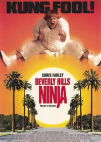 Beverly Hills Ninja (1997) [Dual Audio] [Hindi-English] DVDRip 5