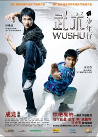 Wushu 2008 Hindi Dubbed Movie Watch Online free 5