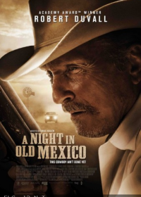 A Night in Old Mexico 2013 Watch Full Movie Online For Free In HD 1080p 1