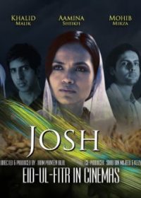 Josh 2013 Pakistani Movie Online For Free In HD 1080p 5