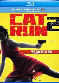 Cat Run 2 (2014) Movie Watch Free Online In HD 720p 2