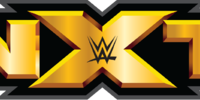 WWE NXT 21st August (2014) HD 720P 300MB Free Download 2