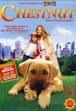 Chestnut Hero of Central Park (2004) Dual Audio Free Download In HD 480p 250MB