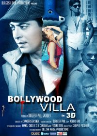 Bollywood Villa 2014 Hindi Movie Free Download 480p 350MB 1