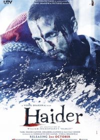 Haider (2014) Hindi Movie watch Online For Free In HD 480p Free Download 1