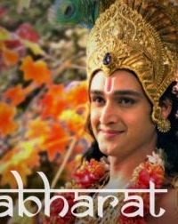 Mahabharat (2013) All Episodes Of Complete Series WebHD Free Download 1