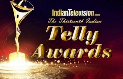 13th Indian Telly Awards (2014)