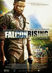 Falcon Rising (2014) Action English Movie Free Download 400MB 480p