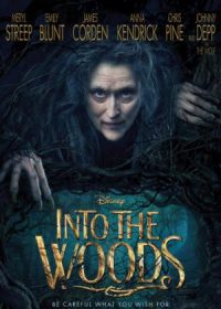 Into the Woods (2014) 200MB Download HD 480p