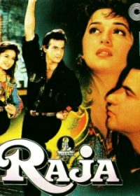 Raja (1995) Hindi Movie 400MB Download 480p