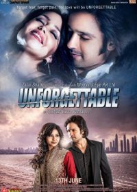 Unforgettable (2014) Hindi Movie 350MB Download HD 480p