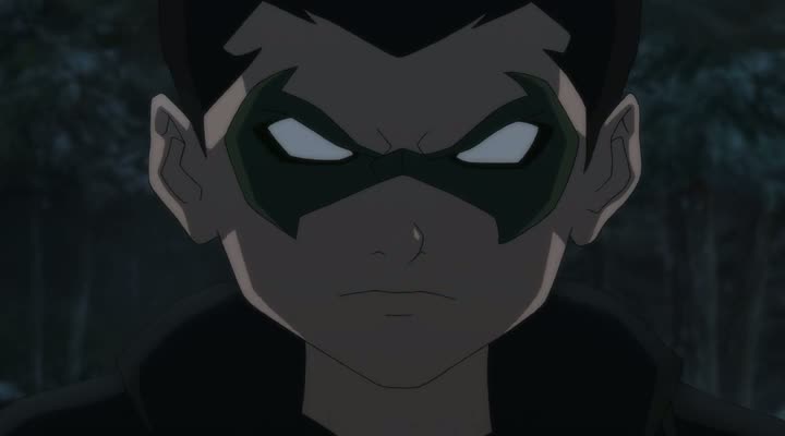 Batman vs. Robin (2015)