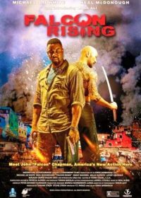 Falcon Rising (2014) hindi dubbed download HD 200MB 480p