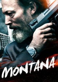 Montana (2014) Hindi Dubbed Download HD 480p 250MB