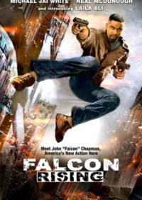 Falcon Rising (2014) Hindi Dubbed Download 200MB 480p