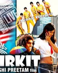 Kirkit (2009) Hindi Movie 400MB HD 480P