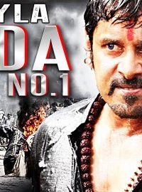 Akeyla Dada No 1 (2015) Hindi Dubbed 480p