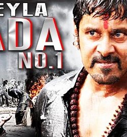 Akeyla Dada No 1 (2015) Hindi Dubbed 480p