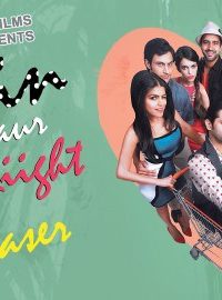 Main Aur Mr. Riight (2014) Hindi Movie Watch Online 720p