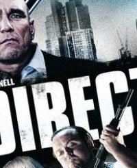 Redirected 2014 Dual Audio movie 480p BRRip 300mb