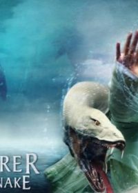 The Sorcerer and the White Snake (2011) Hindi Dubbed 1080p