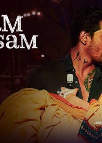 Sanam Teri Kasam (2016) Hindi Movie HD 720p Download 200MB