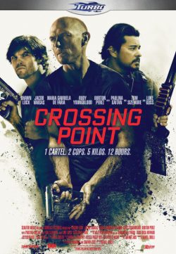 Crossing Point (2016) DVDRIP 250MB