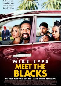 Meet the Blacks (2016) TSRip 600MB