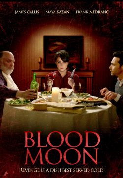 Blood Moon 2016 English 720p BluRay 800mb