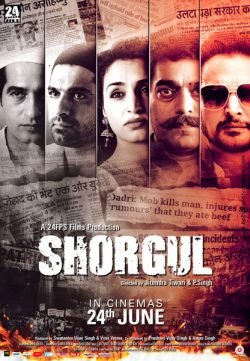 Shorgul (2016) Hindi PDvD XviD 650MB