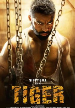 Tiger Punjab (2016) Punjabi CamRip 750MB