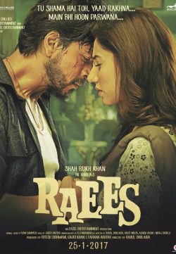 Raees (2017) Hindi DesiScr Rip 750MB