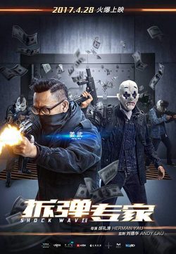 Shock Wave (2017) Dual Audio 720p BluRay [Hindi ORG + Chinese] ESubs